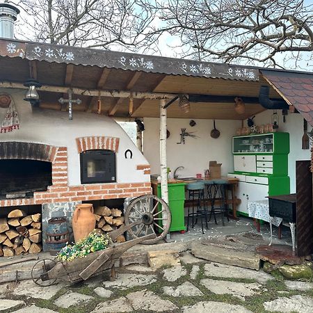 Apartmán Casa Cezara Silvasu de Jos Exteriér fotografie