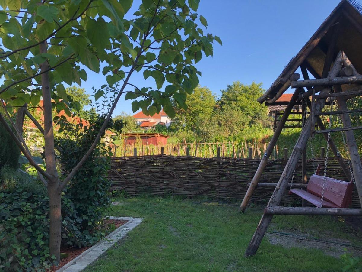 Apartmán Casa Cezara Silvasu de Jos Exteriér fotografie