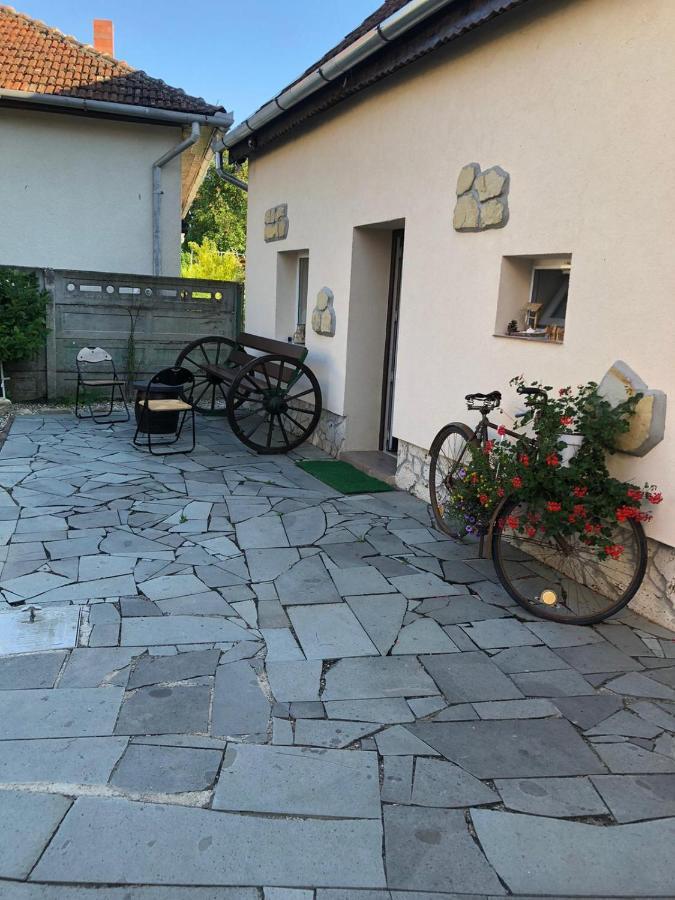 Apartmán Casa Cezara Silvasu de Jos Exteriér fotografie