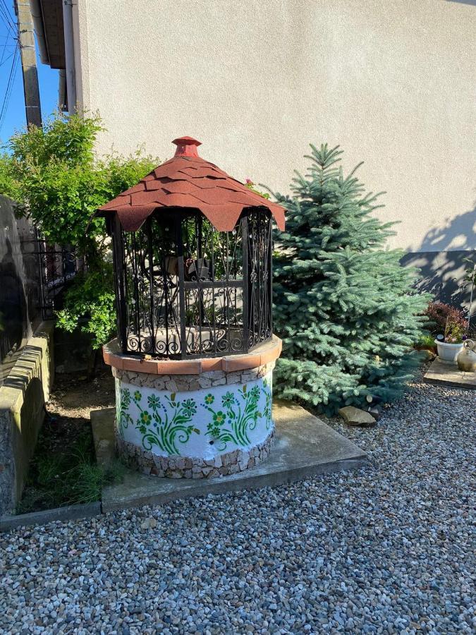 Apartmán Casa Cezara Silvasu de Jos Exteriér fotografie