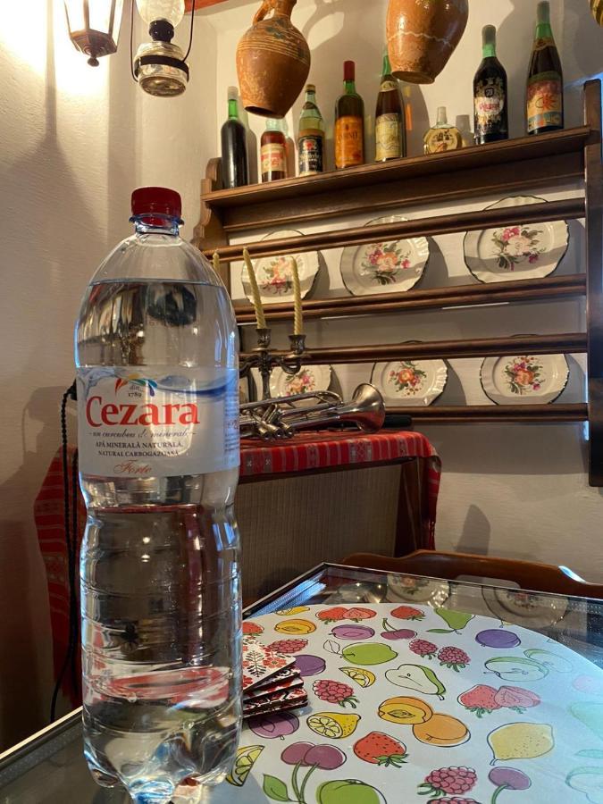 Apartmán Casa Cezara Silvasu de Jos Exteriér fotografie