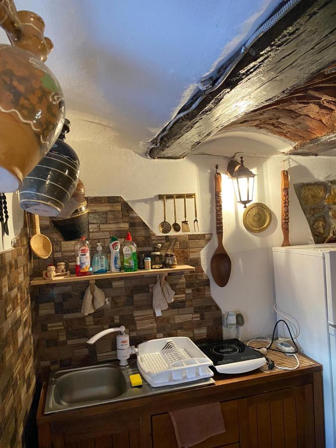 Apartmán Casa Cezara Silvasu de Jos Exteriér fotografie