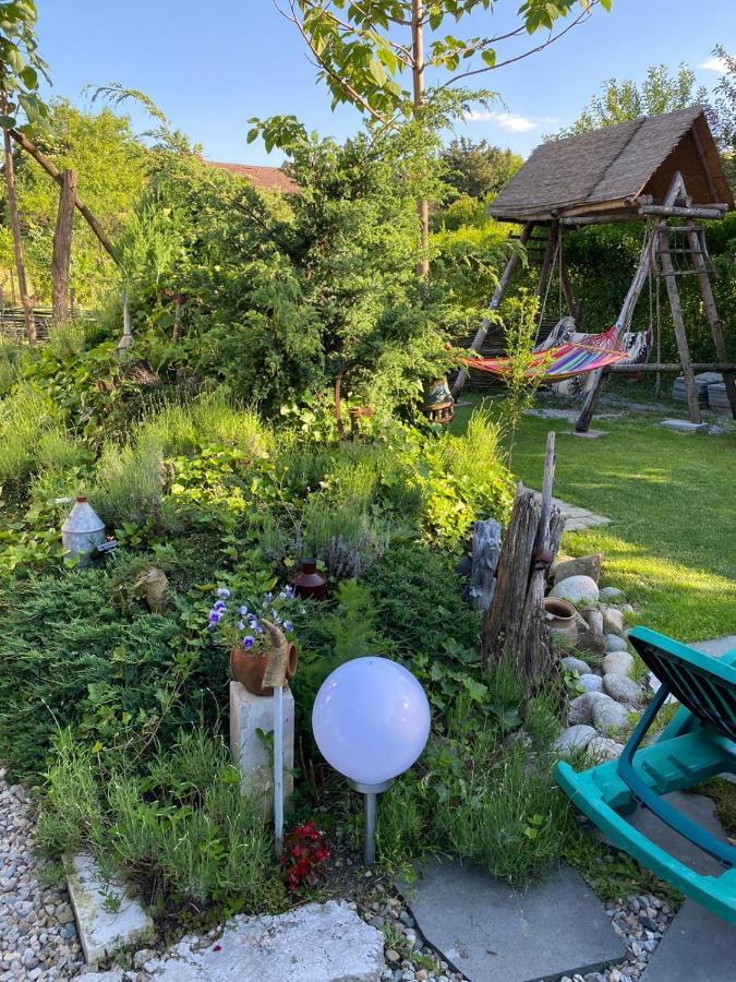 Apartmán Casa Cezara Silvasu de Jos Exteriér fotografie