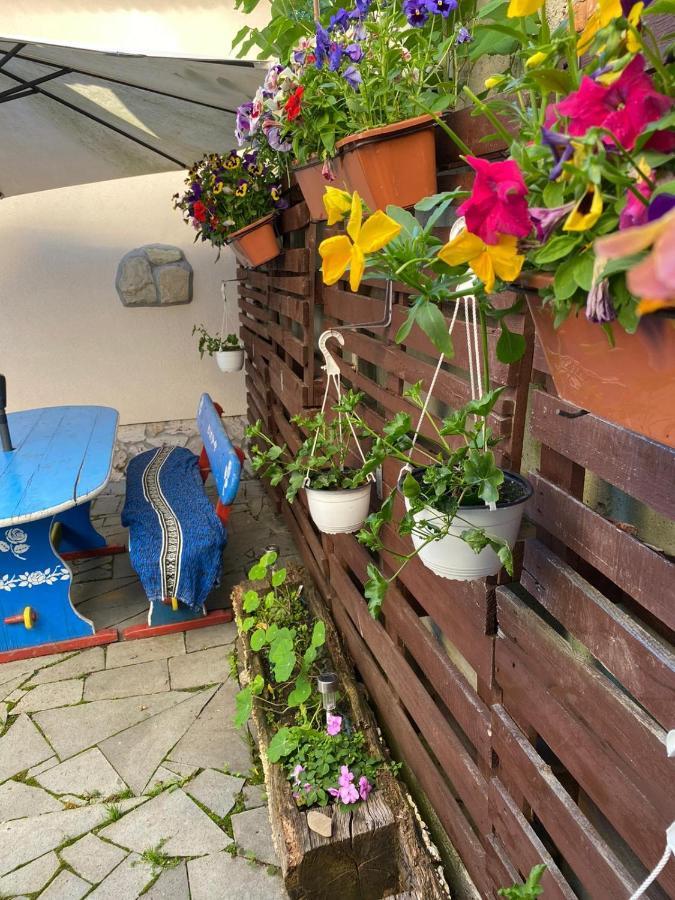 Apartmán Casa Cezara Silvasu de Jos Exteriér fotografie