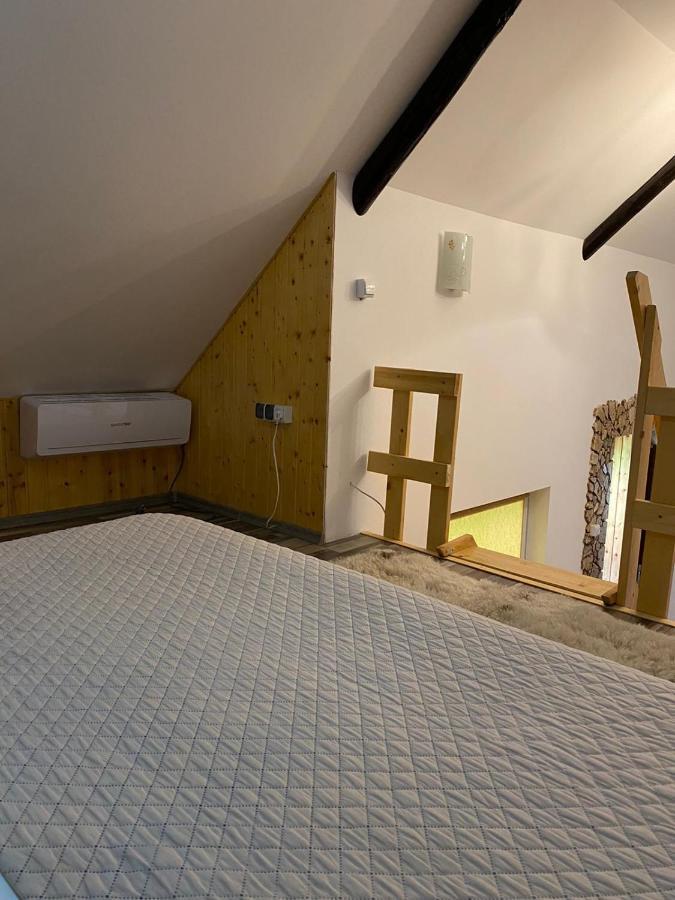 Apartmán Casa Cezara Silvasu de Jos Exteriér fotografie