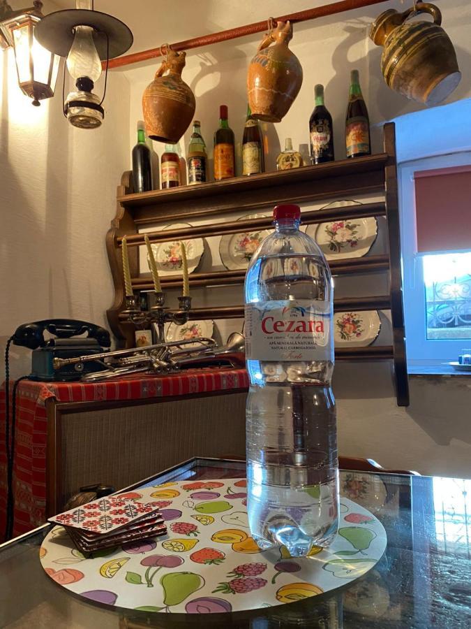 Apartmán Casa Cezara Silvasu de Jos Exteriér fotografie