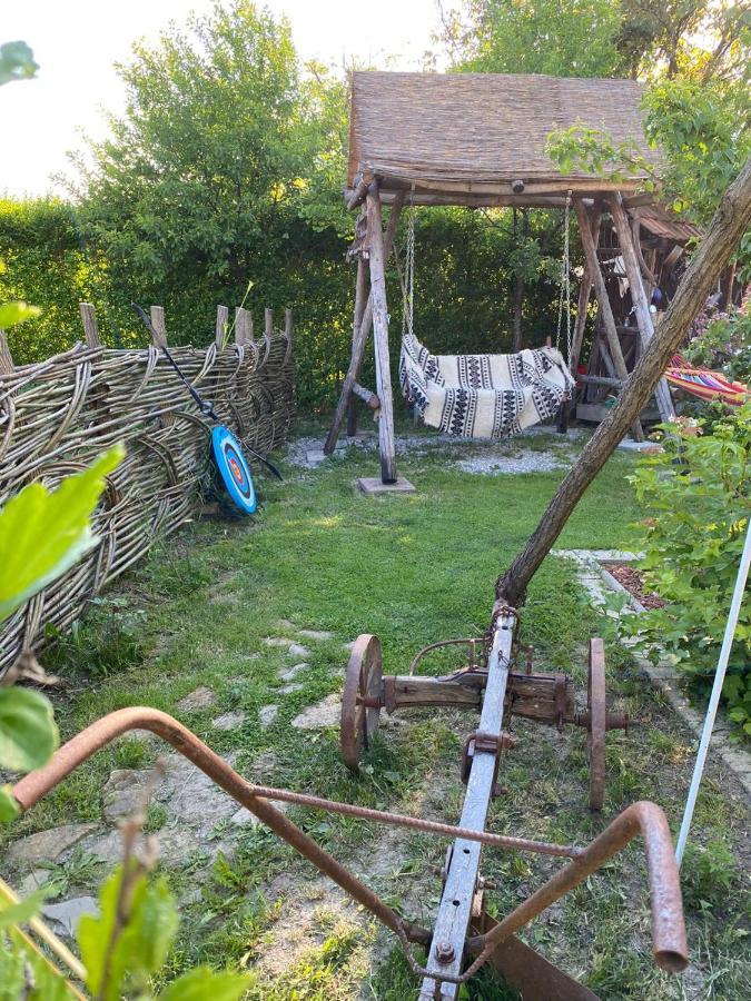 Apartmán Casa Cezara Silvasu de Jos Exteriér fotografie