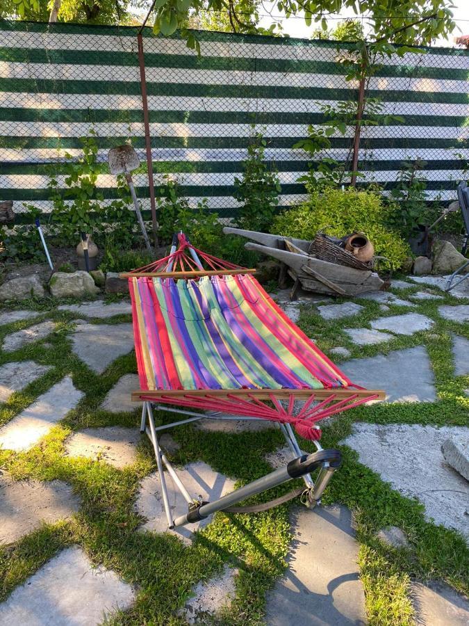 Apartmán Casa Cezara Silvasu de Jos Exteriér fotografie