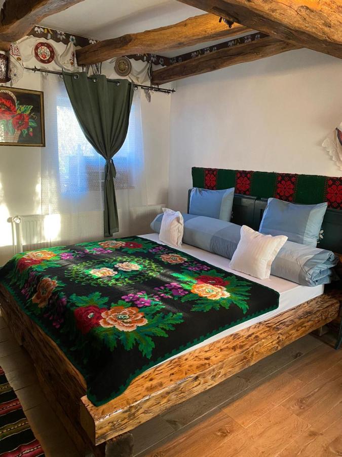 Apartmán Casa Cezara Silvasu de Jos Exteriér fotografie