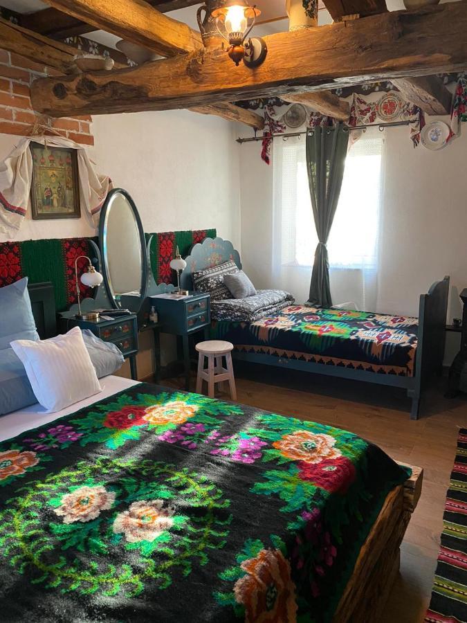 Apartmán Casa Cezara Silvasu de Jos Exteriér fotografie