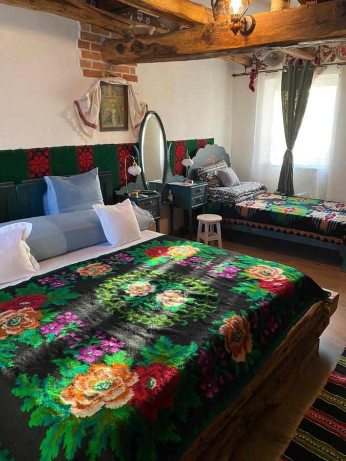 Apartmán Casa Cezara Silvasu de Jos Exteriér fotografie