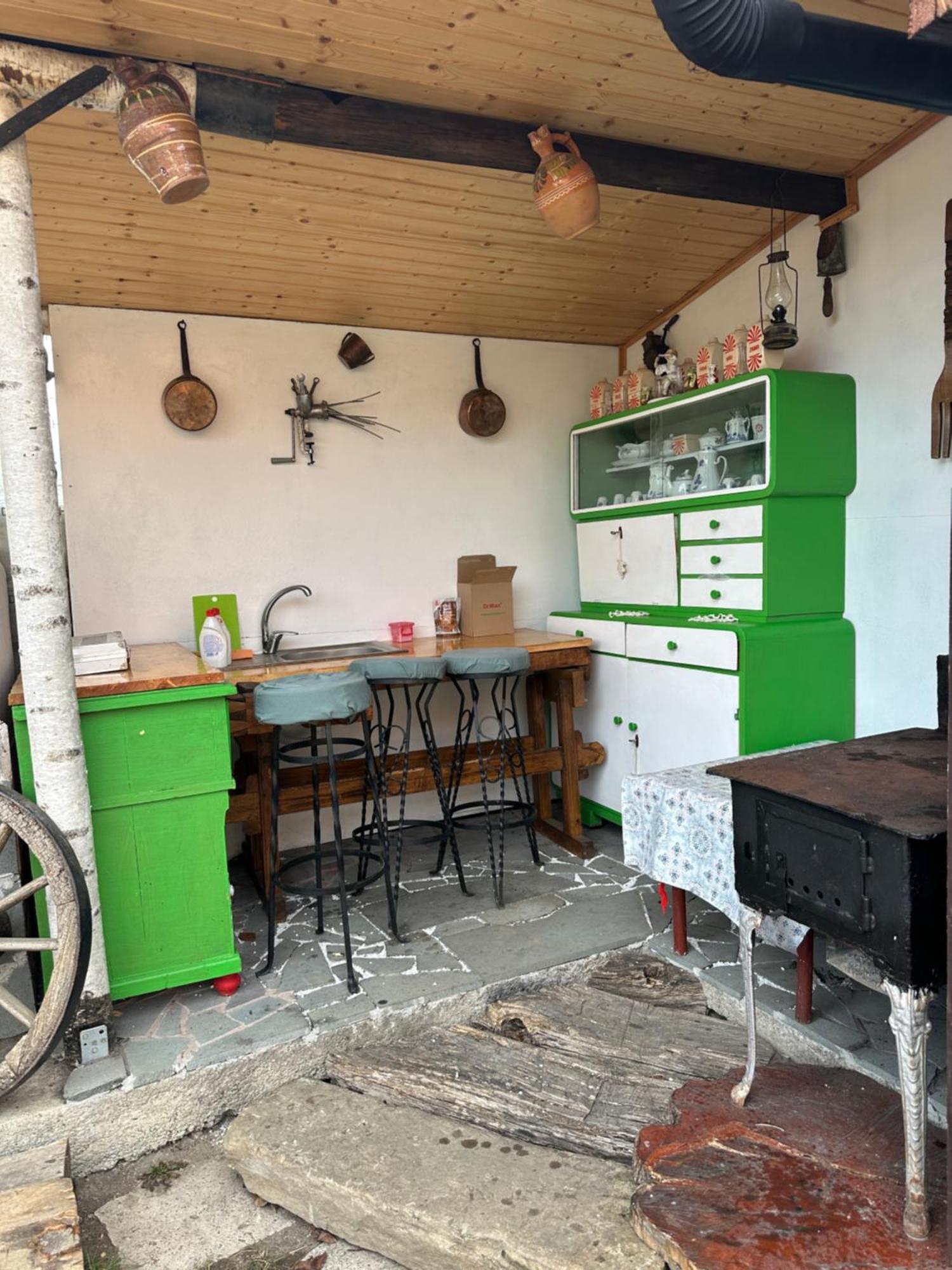 Apartmán Casa Cezara Silvasu de Jos Exteriér fotografie