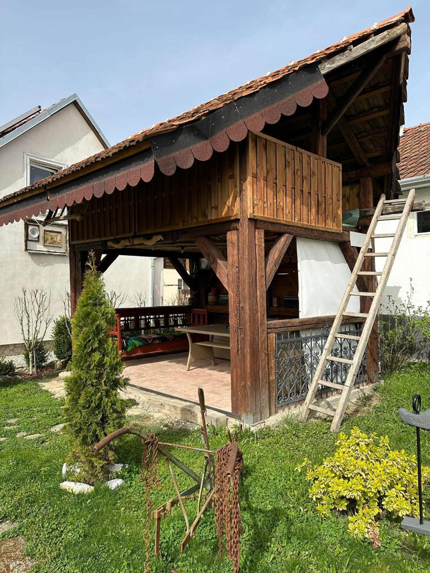 Apartmán Casa Cezara Silvasu de Jos Exteriér fotografie