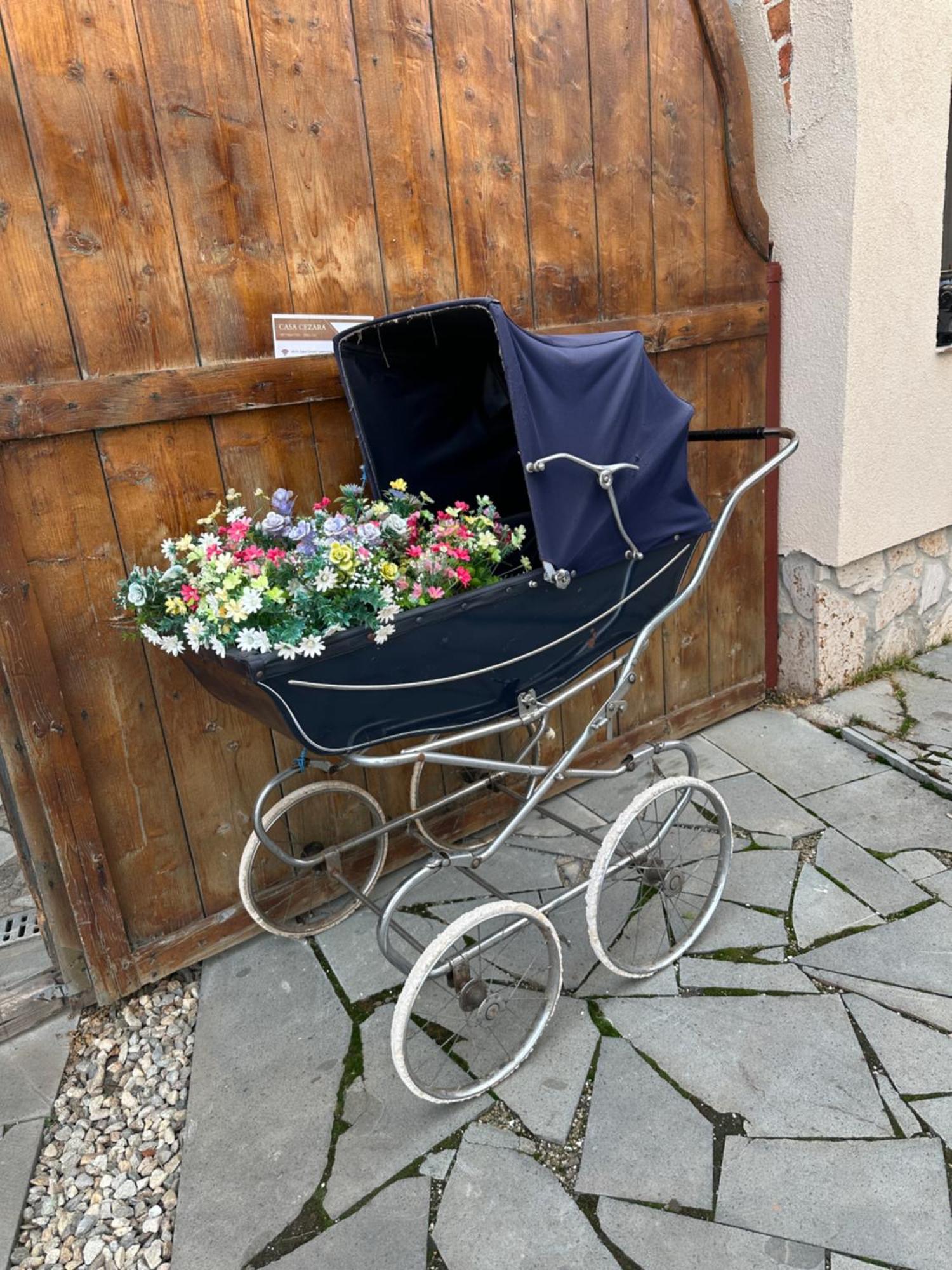Apartmán Casa Cezara Silvasu de Jos Exteriér fotografie