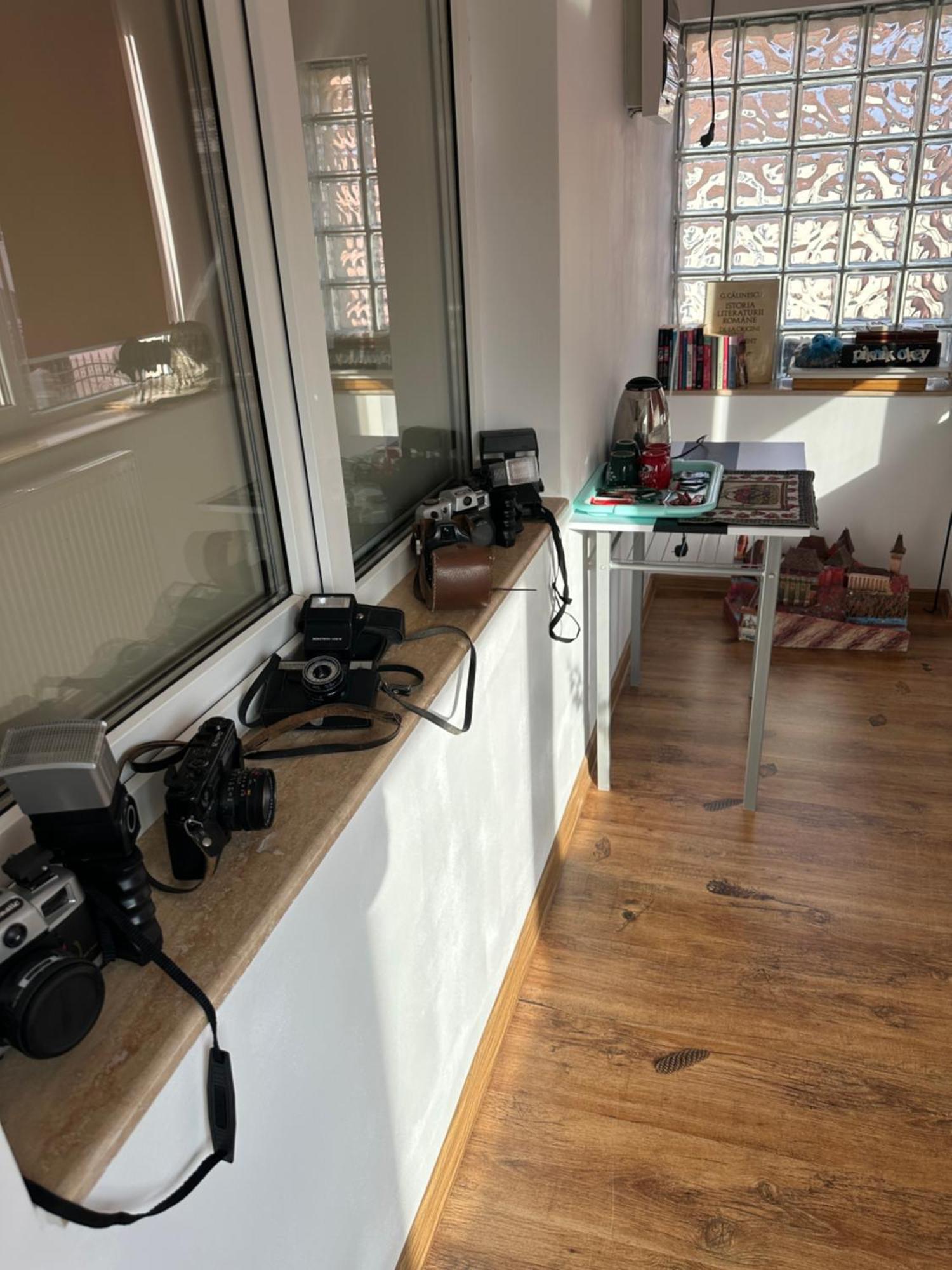 Apartmán Casa Cezara Silvasu de Jos Exteriér fotografie