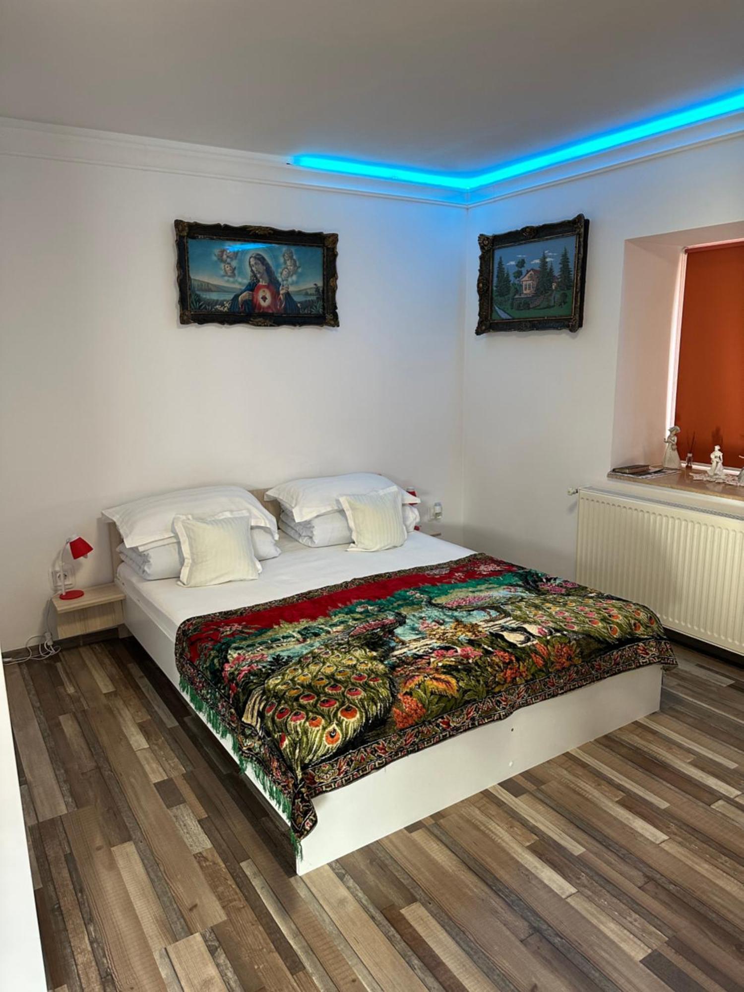 Apartmán Casa Cezara Silvasu de Jos Exteriér fotografie
