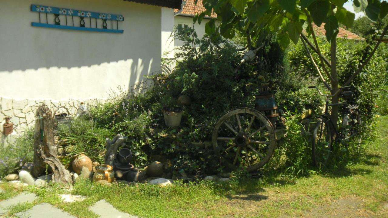 Apartmán Casa Cezara Silvasu de Jos Exteriér fotografie