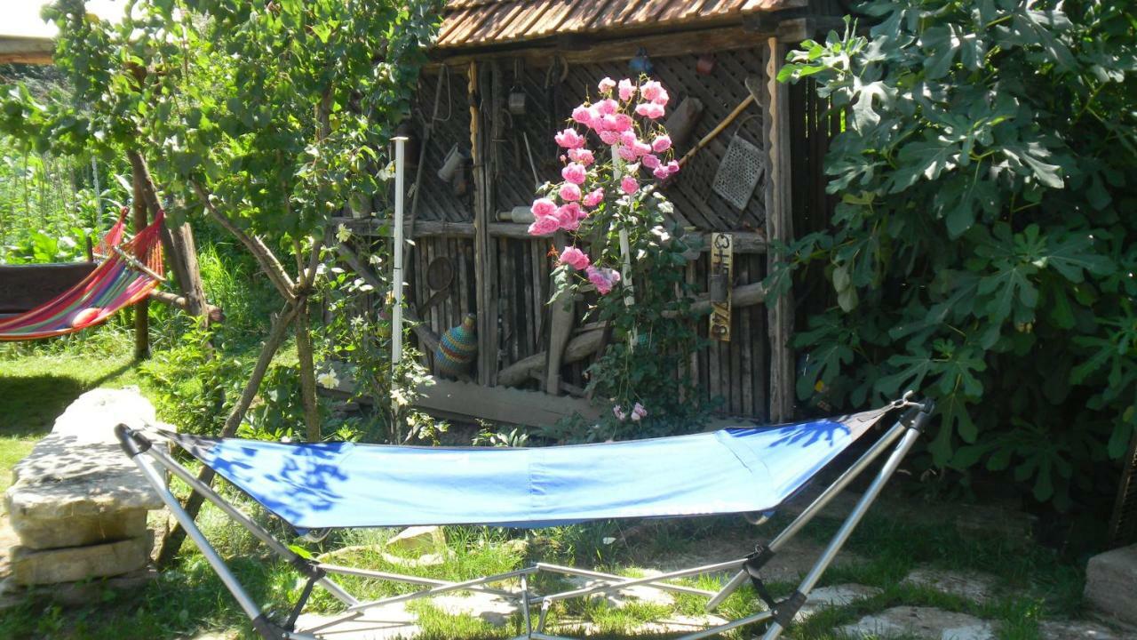 Apartmán Casa Cezara Silvasu de Jos Exteriér fotografie